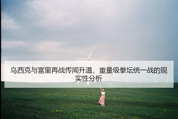 乌西克与富里再战传闻升温，重量级拳坛统一战的现实性分析