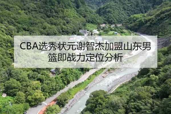 CBA选秀状元谢智杰加盟山东男篮即战力定位分析